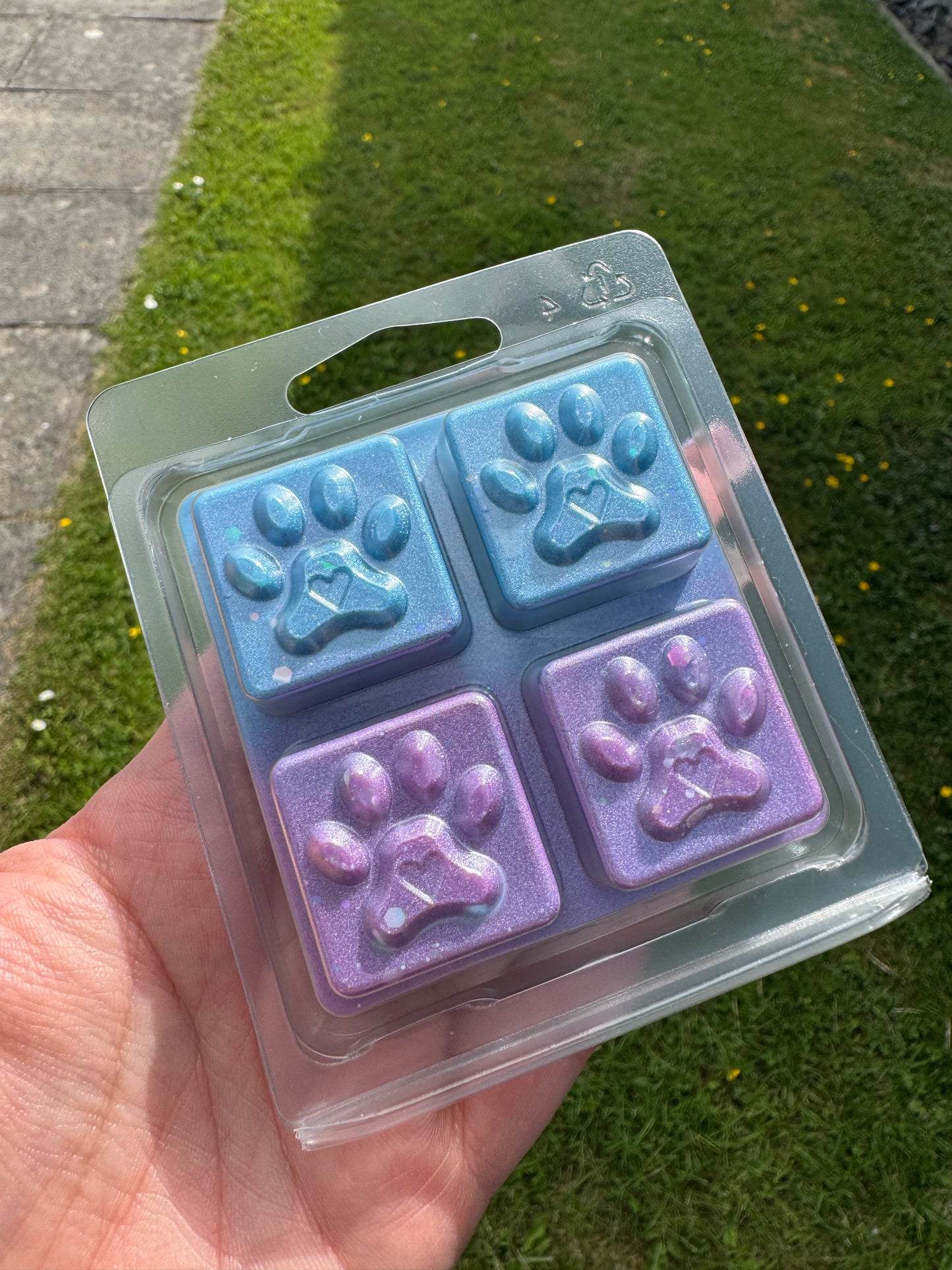 “The Main Side Character" Story Scented Wax Melt - 50g
