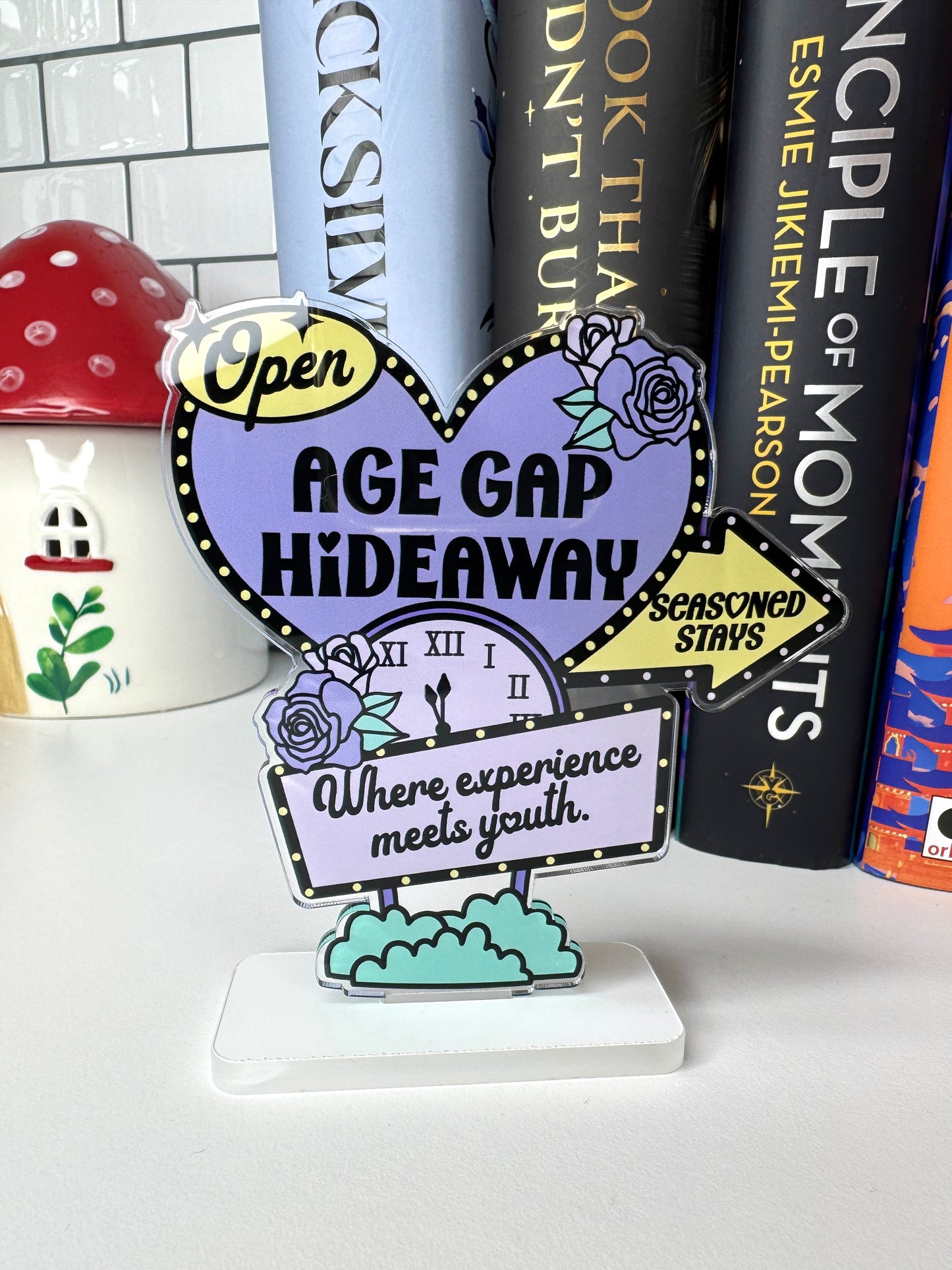 Age Gap Hideaway Book Shelf Decor