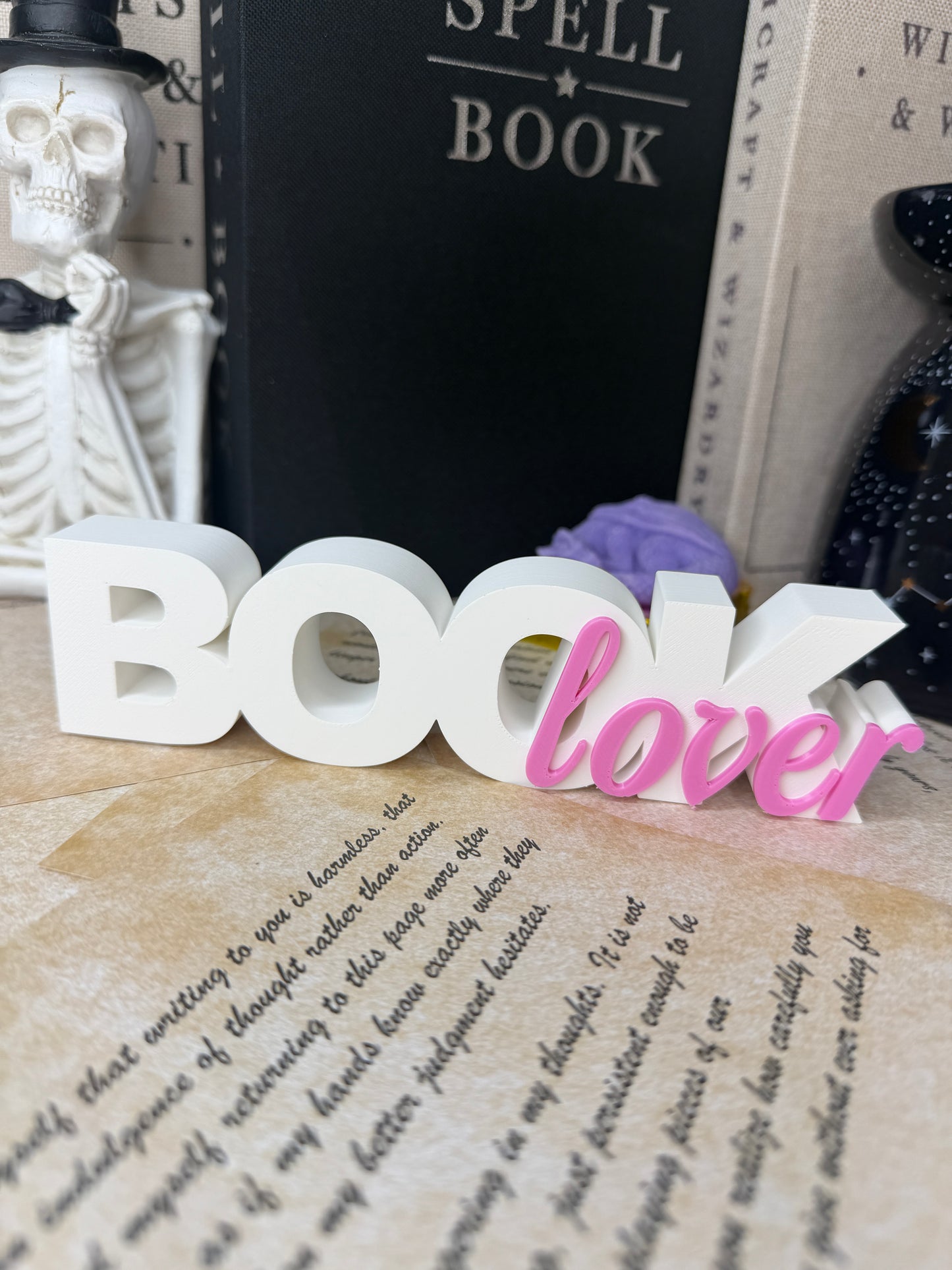 BOOK LOVER SHELF DECOR SIGN