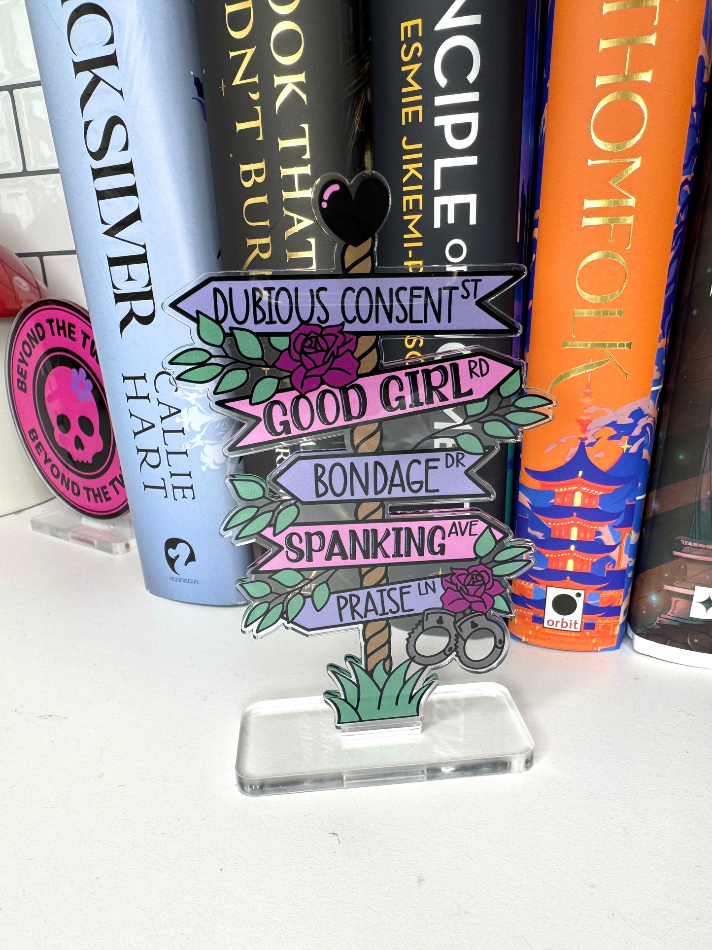 Kinky Street Sign Book Shelf Decor