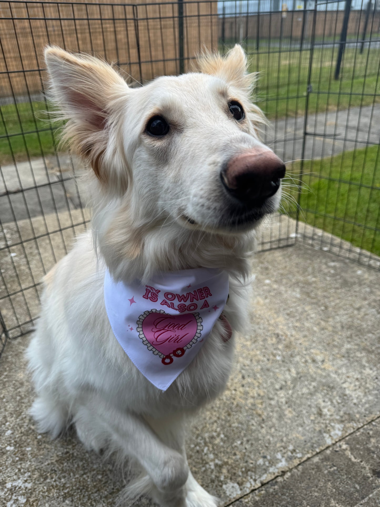 My Owner is Also a Good Girl Doggy Bandana