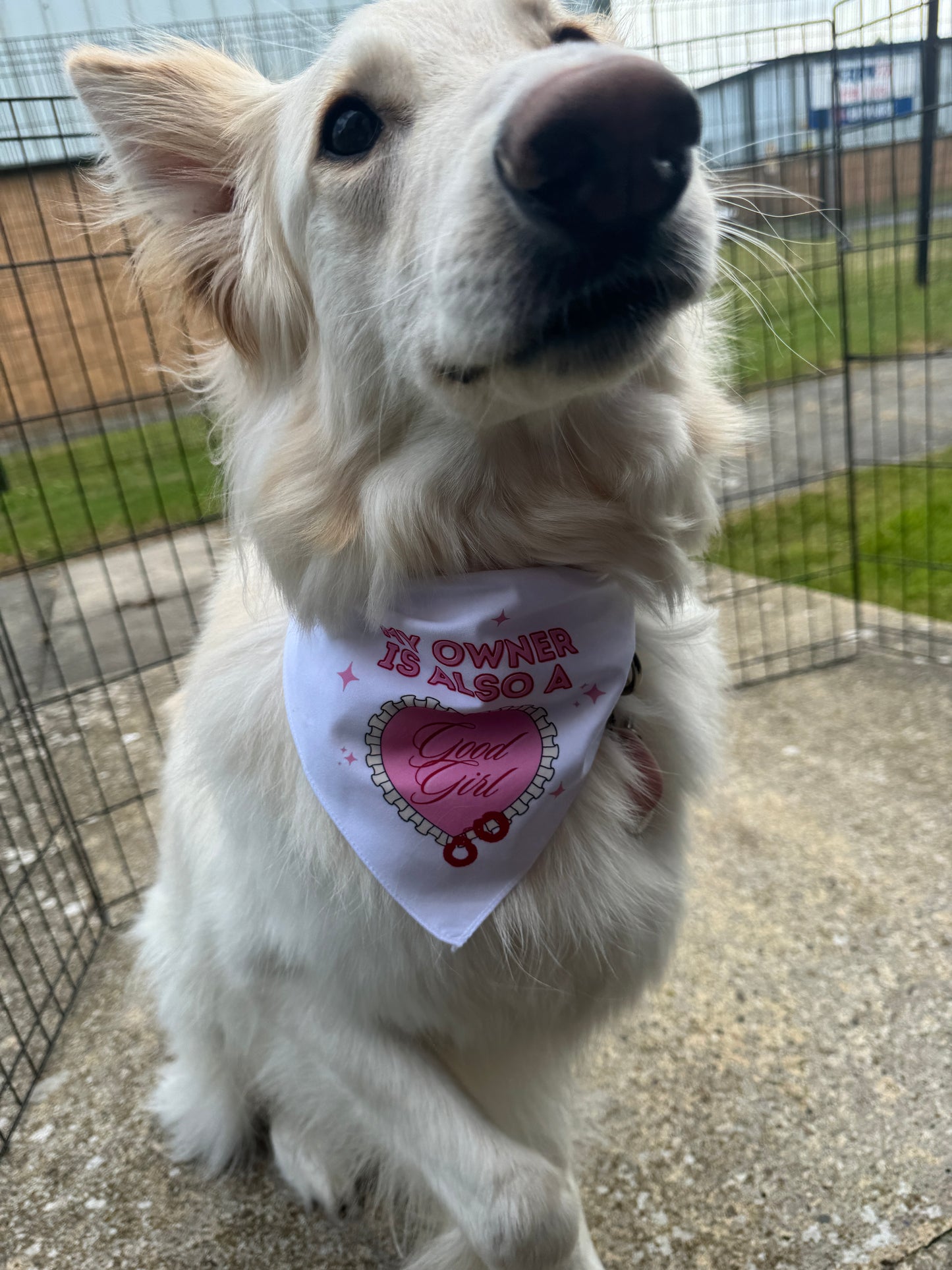 My Owner is Also a Good Girl Doggy Bandana